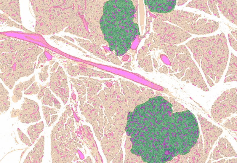 Dynamic Content Image